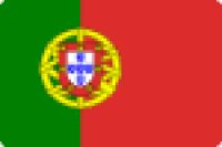 5830730 Courtesy flag Portugal