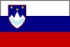 5830620 Courtesy flag Slovenia